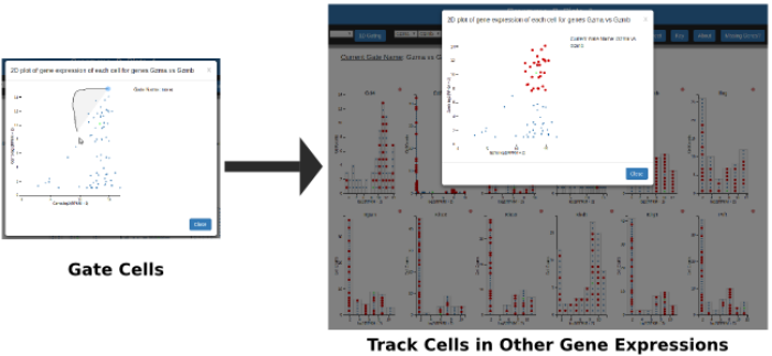 An example a cell gating strategy in my IRS app
