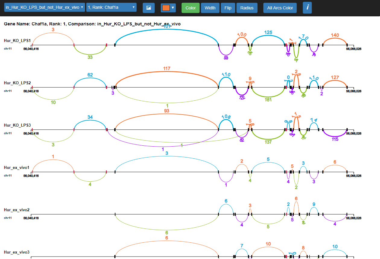 An example image of my Splicer App output