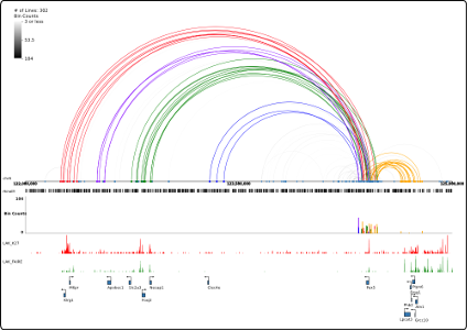 An image of Rainbow HiC plot example
